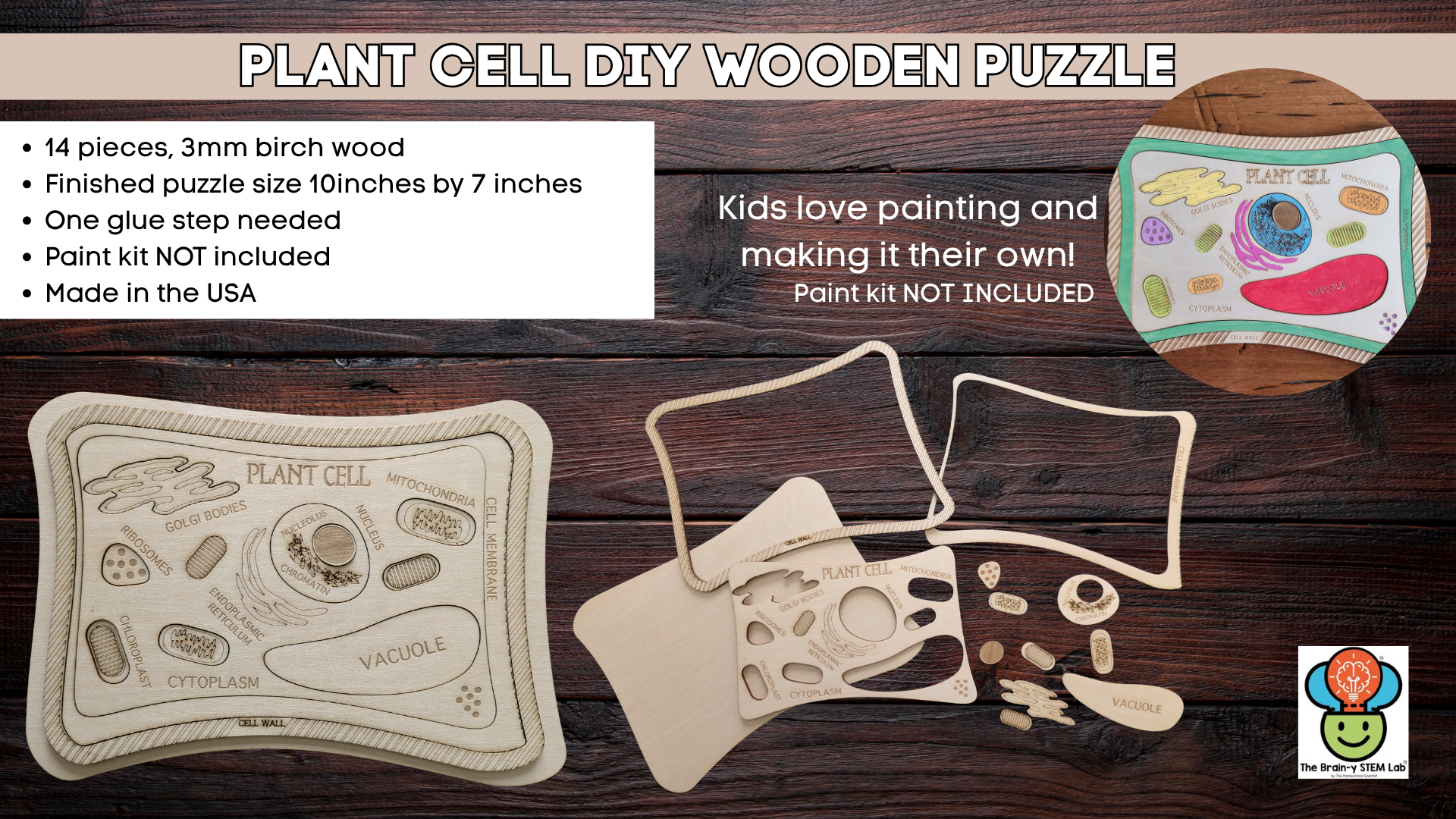 Montessori Plant Cell DIY Puzzle Kit – Hands-On Biology Learning for Kids